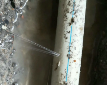 阿勒泰卫生间测漏水多少钱