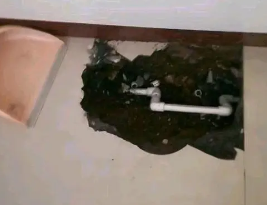 阿勒泰卫生间测漏水多少钱